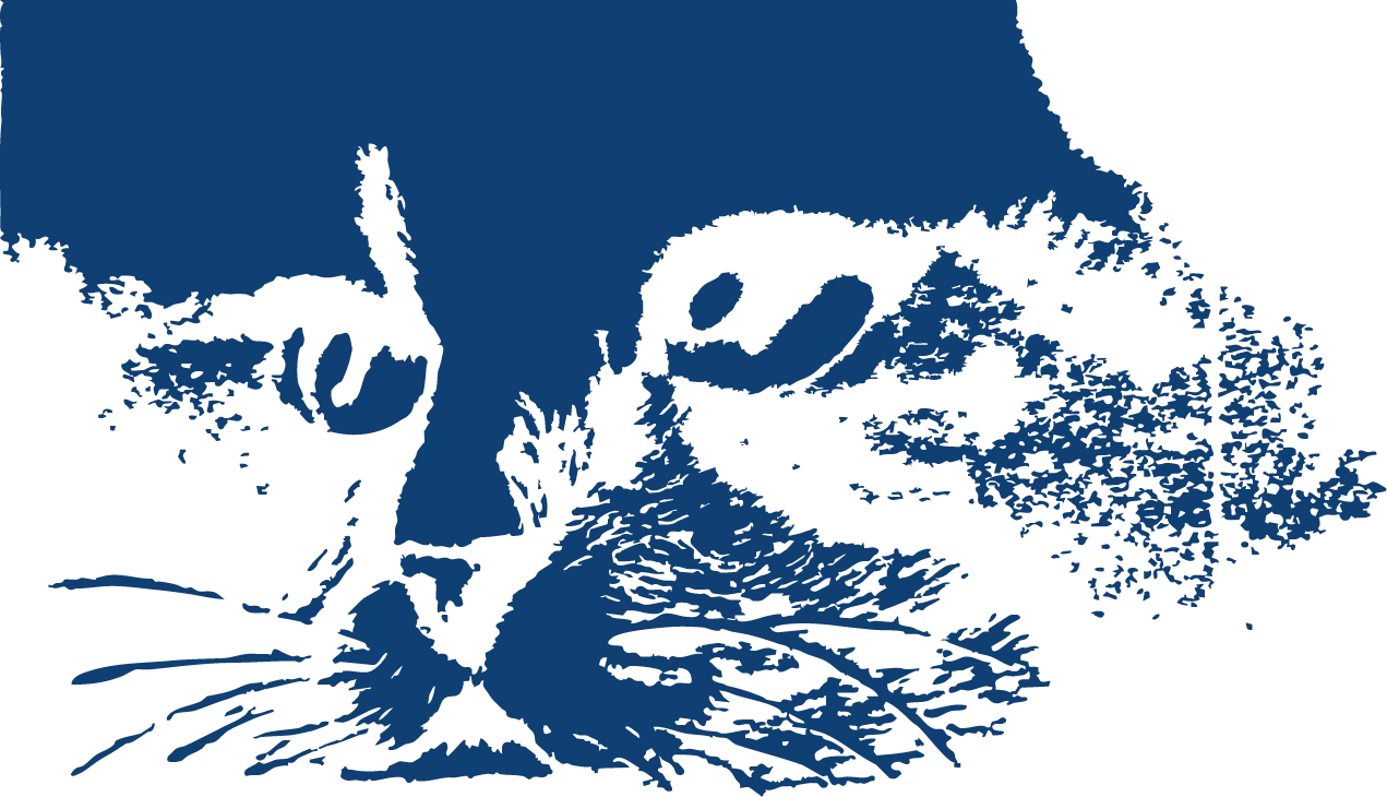 Dessin vectorisé d'un travail sur une tête de chat réalisé en pastel