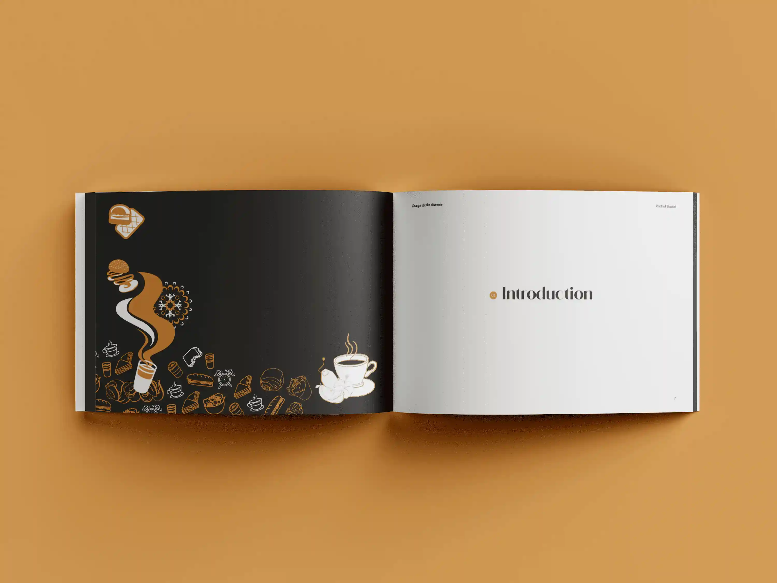 Deuxième mockup du projet de rapport de stage chez Larac