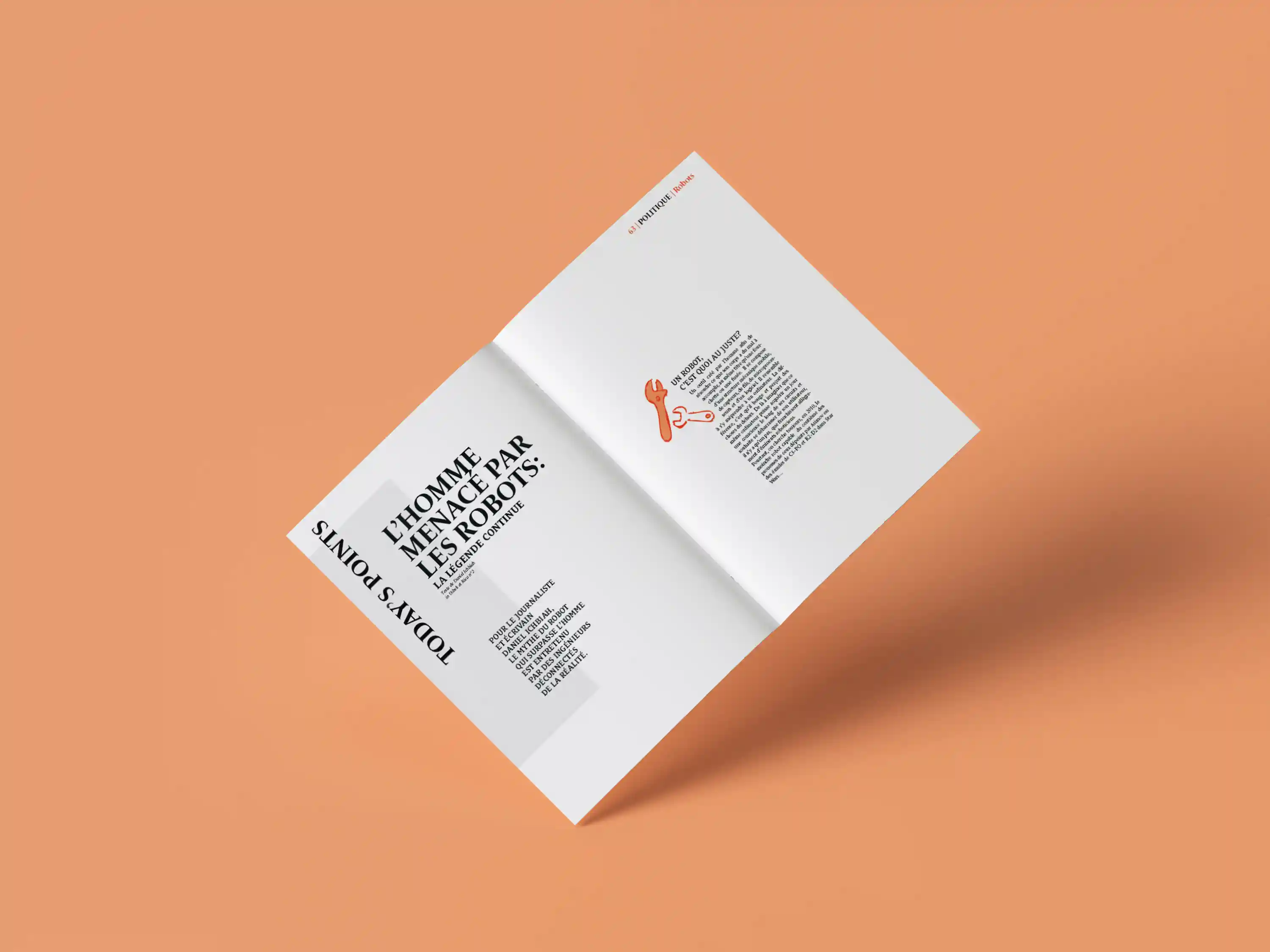 Détails des rubriques et illustrations