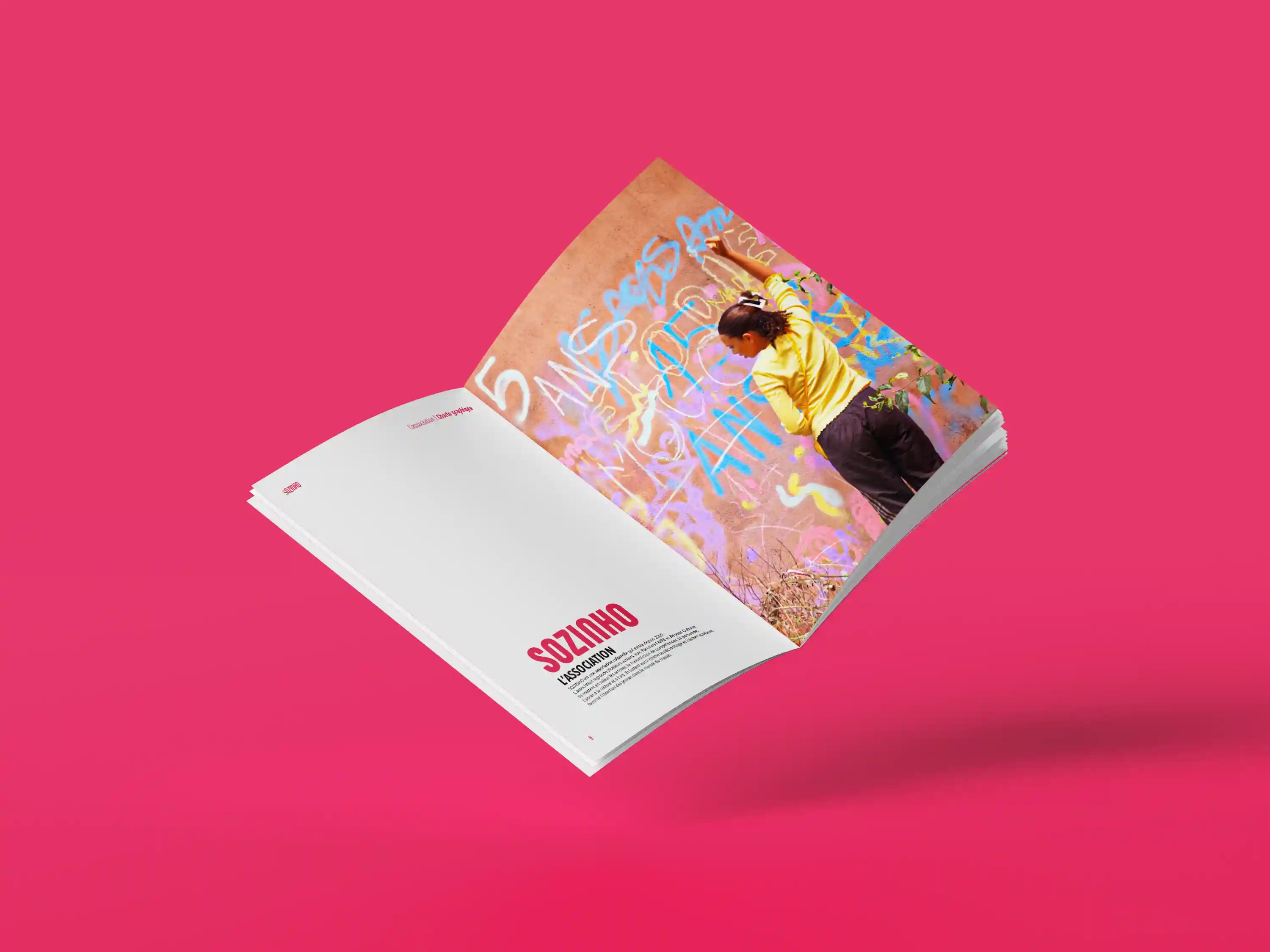 Charte graphique de l'Association Sozinho