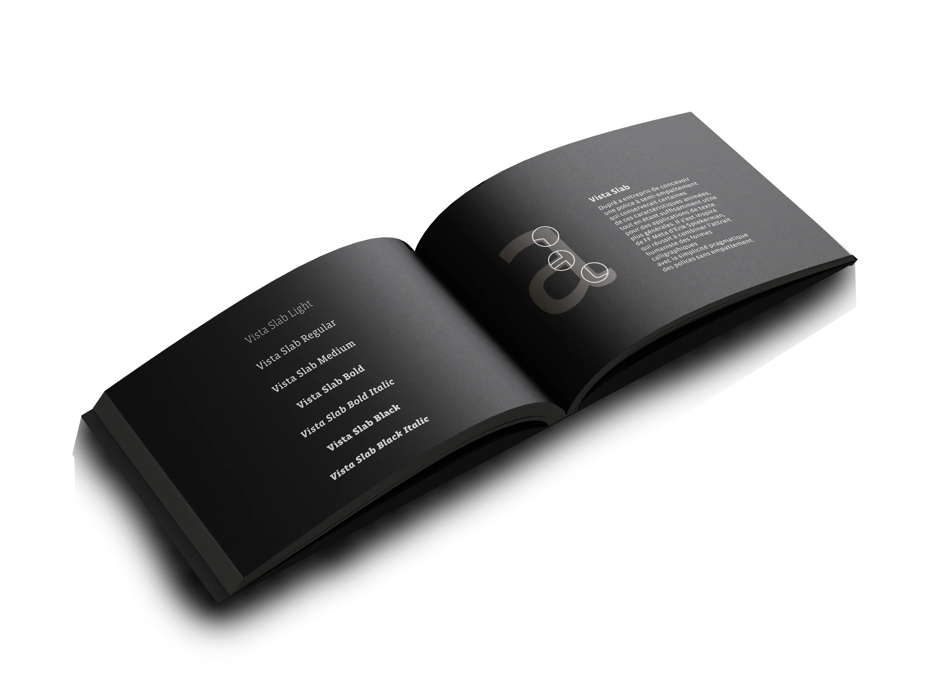 Double page du spécimen Vista - Mise en valeur de la famille