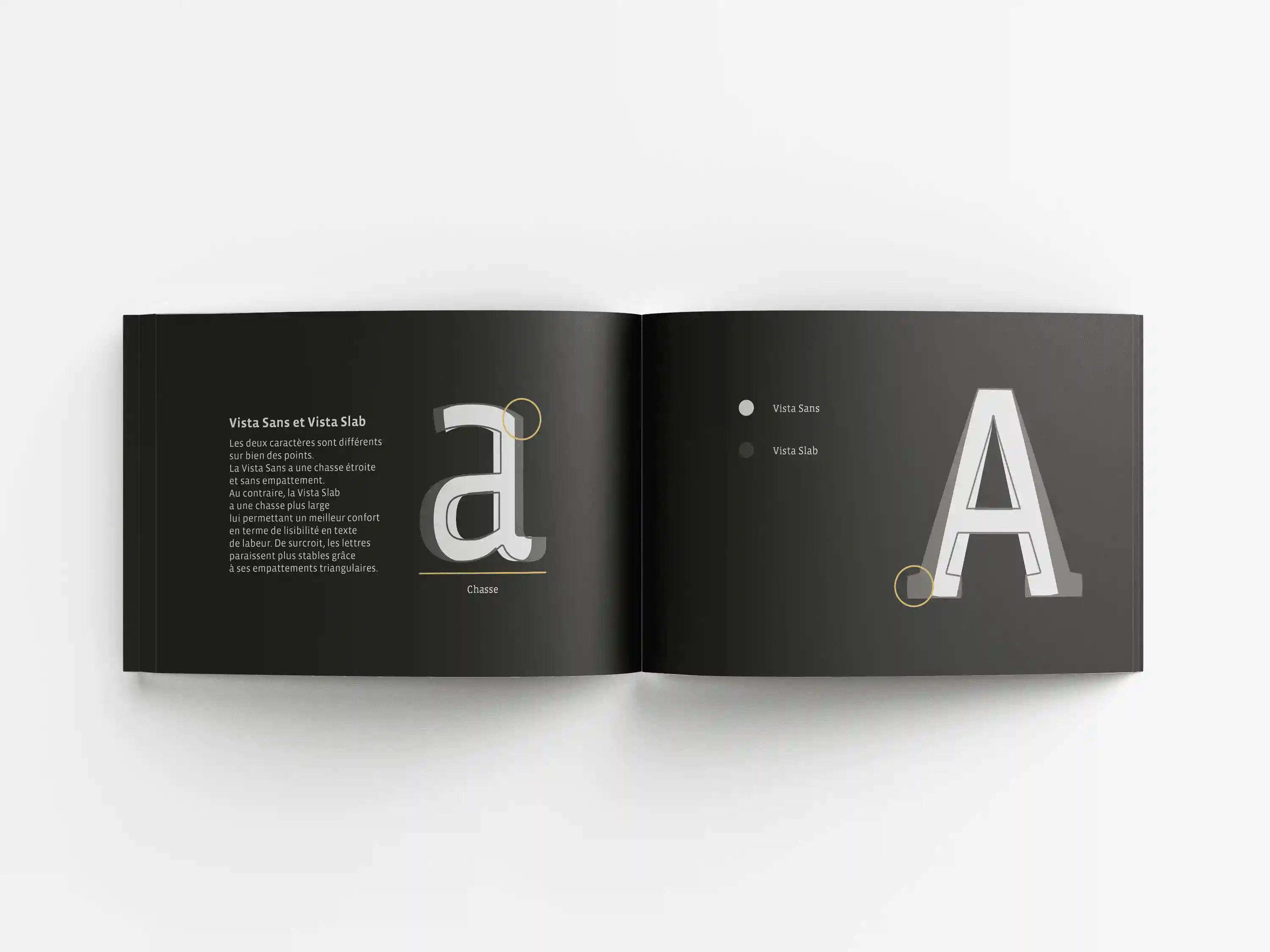 Détails typographiques et spécificités de la Vista Slab