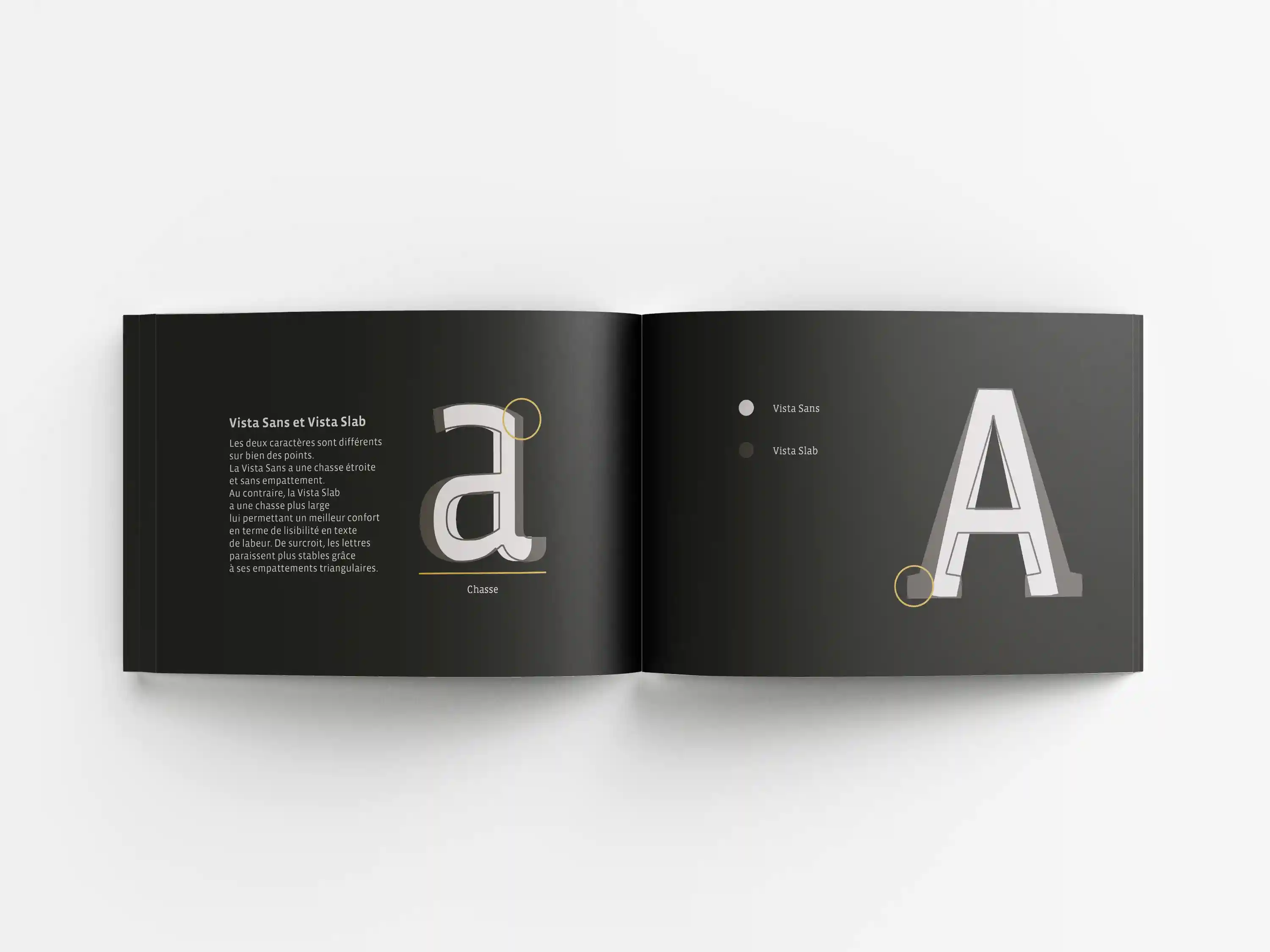 Détails typographiques et spécificités de la Vista Slab